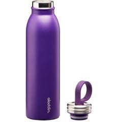 Aladdin Chilled Thermavac™ Çelik Soğuk Su Termosu 0,55 LT
