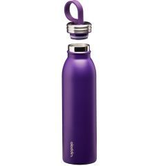 Aladdin Chilled Thermavac™ Çelik Soğuk Su Termosu 0,55 LT