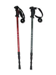 Evolite Trekking Batonu (Antishock) Gri